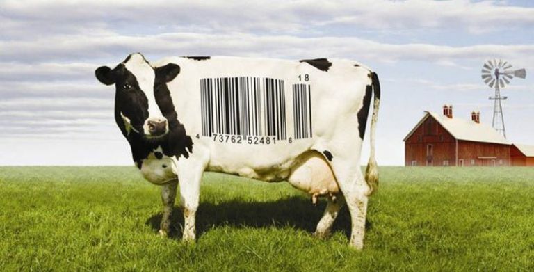 Disa dokumentarë që mund të ndryshojnë totalisht mënyrën si ushqeheni