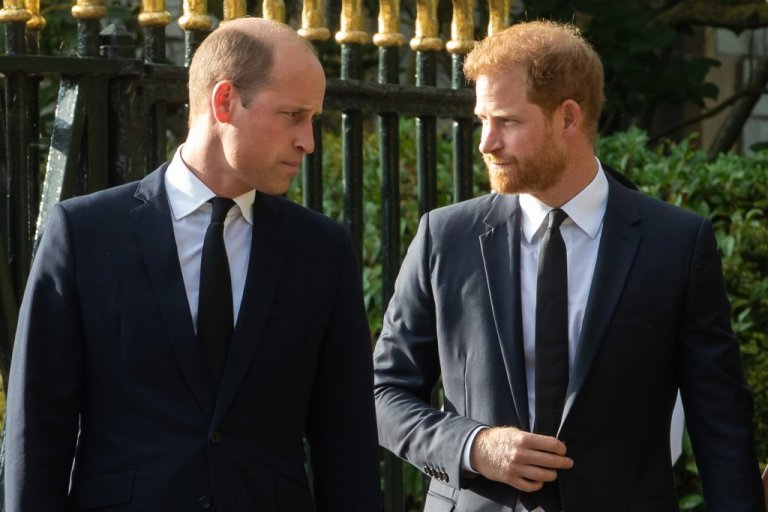 Princi Harry pohon se William e sulmoi fizikisht gjatë një zënke lidhur me Meghan!