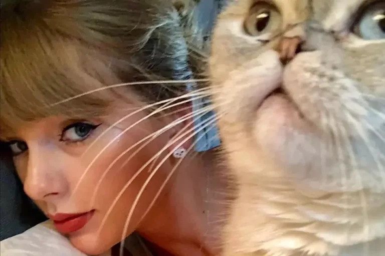 Macja e Taylor Swift është kafsha e tretë më e pasur në botë; zotëron një pasuri prej 97 milionë dollarësh!