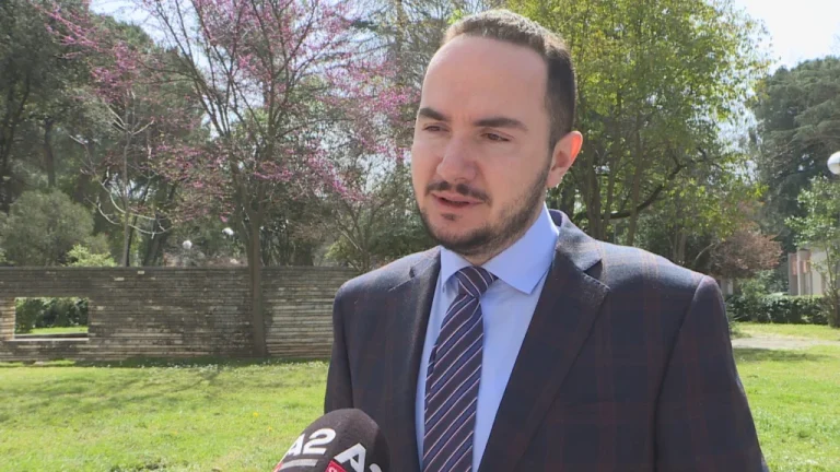 PD, mblidhen firmat për shkarkimin e Alibeajt si kryetar grupi/ Salianji ka firmat për të qenë kreu i ri…