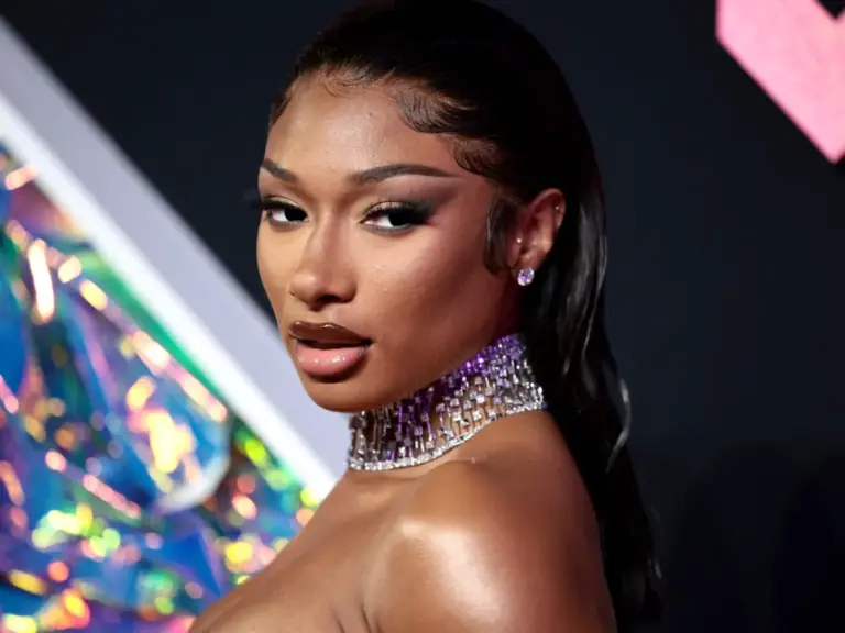 Punonjësi padit Megan Thee Stallion: Më ofendoi & bëri seks para syve të mi.