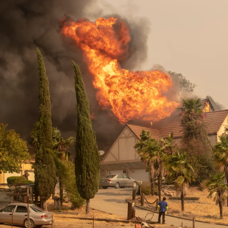 Yjet botërorë përjetojnë ferrin mbi tokë/ Ja VIP-at që zjarri u shkatërroi vilat…