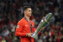 Tifozi bie nga tribuna e stadiumit gjatë ndeshjes Portugali-Spanjë dhe humb jetën.