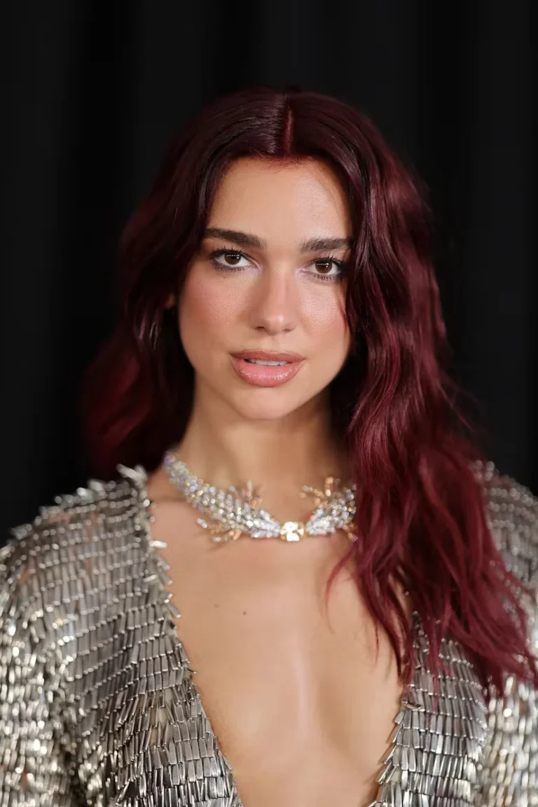 Dua Lipa pushon nga puna agjentin për qëndrimin e tij ndaj Palestinës.