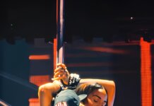 Chris Brown shkakton debat pas performancës intime me një fanse në skenë…