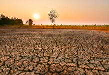 Ekspertët: “El Nino” mund të vrasë 450 mijë njerëz.